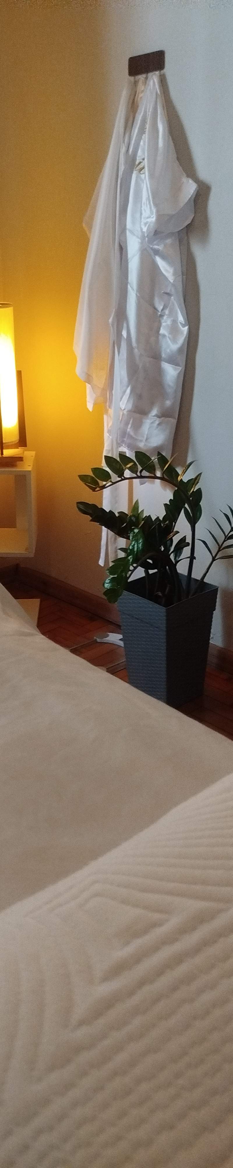 Foto de destaque de Paula Godoi